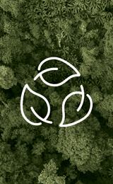 Green Travel Plan 325x222 2